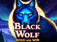 เกมสล็อต Black Wolf: Hold and Win